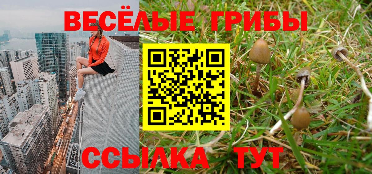 Нягань  Галлюциногенные грибы Psilocybine cubensis  Вход с VPN  Галлюциногенные грибы MAGIC MUSHROOMS 